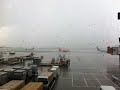 storm at tokyo narita airport