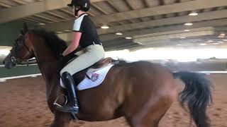 Alli Christy Baylor Eq Clinic Highlights 2