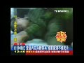 營區內女兵鞭男兵　國軍驚爆不雅影片