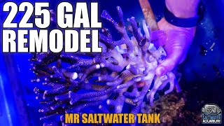 REMODELING A 225 Gallon Saltwater Aquarium - Mark Callahan, Mr. Saltwater Tank