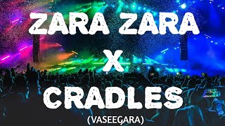 Zara Zara X Cradles (Vaseegara) LOST STORIES - Sunburn | Electric Guitar Cover