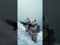 cat military 🪖 viral cat story shorts