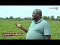 2021 Best Farmer Explains How He Makes Millions in Groundnut farming in Ghana.