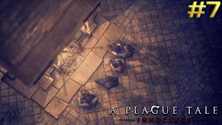 Сбежали от инквизиции, спасли Лука и нашли себе новый дом ➤ A Plague Tale: Innocence #7