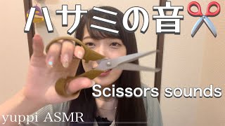 【ASMR】ハサミの音✂️〜Scissors sounds〜【囁き声】