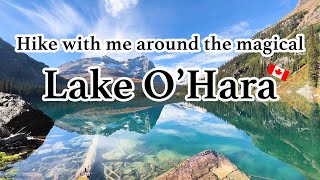 Magical Lake O'Hara | Yoho National Park BC Canada | Hike with Me