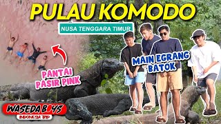 Download Mp3 WASEDABOYS EXPLORE NTT PULAU KOMODO PINK BEACH MAIN EGRANG BATOK DLL INDONESIA TRIP