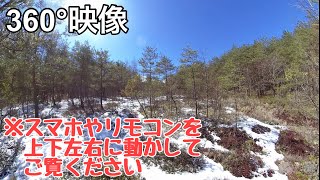 【VR360°映像】幻想的な森の散歩