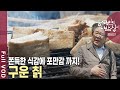 호랑이보다 무섭다던 보릿고개! 영월에서 힘든 시절 삶의 희망이자 위안이 되었던 거친 음식들은 무엇일까? [한국인의밥상 KBS 20120419 방송]