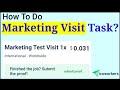 How To Do Marketing Test Visit Task In Picoworkers?|| Mazhar Saeed || P. 33