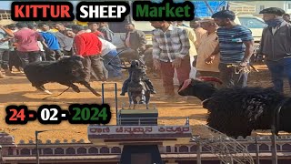 ಕಿತ್ತೂರು ಕುರಿ ಮತ್ತು ಮೇಕೆ ಮಾರುಕಟ್ಟೆ |  monday kittur sheep market | 24-02-2024 | @gdfchannel8724