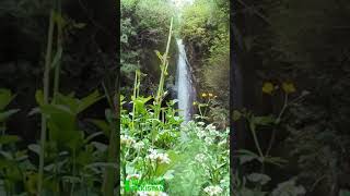 Most Beautiful Malach Waterfall  in Malach Village | Discover Pakistan TV