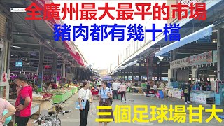 走進廣州的大街小巷——全廣州最大最平的市場 I #芳村江楠荔塱市场  （#西塱市场）I 菜價肉價海鮮價多圖展示 I 1958年係西堤二馬路開業的洋城麵店（Hugo\u0026Key 粵語)