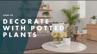 How To Decorate With Indoor Plant Pots - Bunnings Warehouse