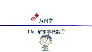 簡単解剖学　１章　解剖学概説①(解剖学とは・人体の区分)