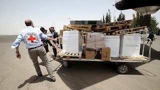 Emergency aid arrives in conflict-hit Yemen as air strikes continue