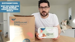 Different Dog | Why We Feed Our Mini Huskies Human-Grade Dog Food