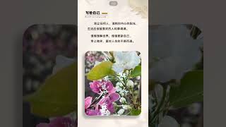 别让任何人消耗你内心的阳光｜带上微笑 面对人生的不期而遇｜ #人生感悟 #正能量