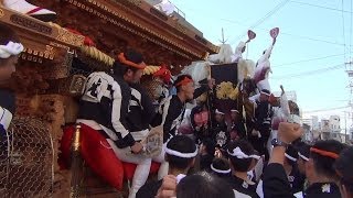 平成25年(2013)　泉大津濱八町だんじり祭　本宮　午後の曳行０