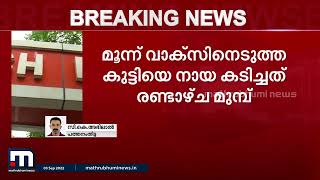 പത്തനംതിട്ടയിൽ തെരുവ് നായയുടെ കടിയേറ്റ  12 കാരിയെ വെന്റിലേറ്ററിലേക്ക് മാറ്റി |Pathanamthitta