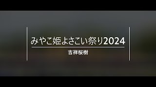 吉祥桜樹　みやこ姫よさこい祭り2024　5月12日