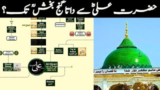 Data Ganj Bakhsh Ali Hajveri Family Tree | From Hazrat Ali to Ganj Bakhsh
