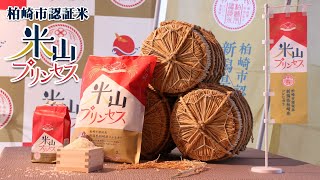 【新潟県柏崎市】コシヒカリ界のお姫様「米山プリンセス」