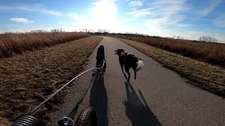 Bikejor Single File \u0026 Passing Training