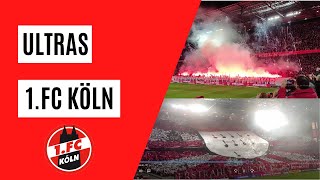 1.FC KÖLN ULTRAS