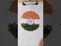 February 16, 2023 .Our Indian flag drawing with vegetable 🇮🇳🇮🇳..