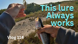 Vlog 114 Extremely windy, Difficult inshore fishing. Walking the lagoons.