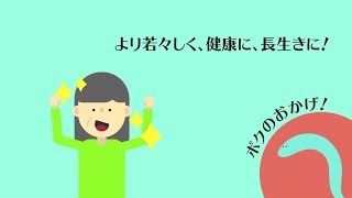 健康長寿の謎を探る～長寿遺伝子と健康～[特許インフォグラフィックス]