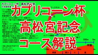 【ウマ娘】カプリコーン杯レース場まとめ