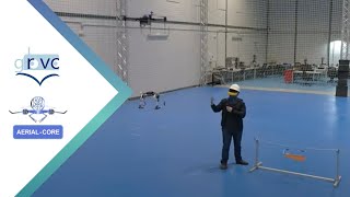 Aerial Device Delivery for Power Line Inspection and Maintenance