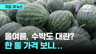 올여름 '과일왕' 수박도 대란 오나…농식품부 설명 보니｜지금 이 뉴스