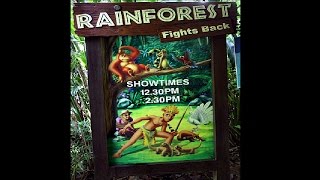 Singapore Zoo @ Mandai - Rainforest Fights Back Show!