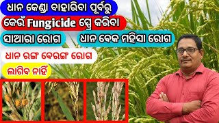 ଧାନ କେଣ୍ଡା ବାହାରିବା ପୂର୍ବରୁ Fungicide spray ରୋଗ ଲାଗିବ ନାହିଁ