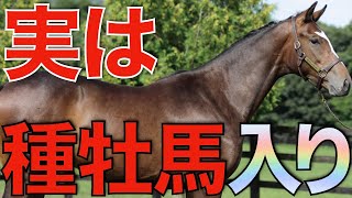 【未出走】実は今年スタッドインしていた種牡馬を探る！数少ない産駒で3代続く父系も。