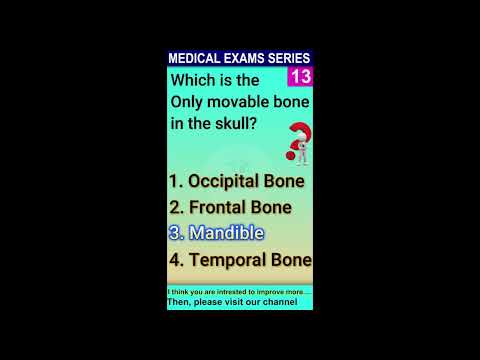 Which bone in the skull is movable?