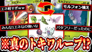 【ポケポケ】本当のトキワの森ループ【デッキ紹介】Pokémon Trading Card Game Pocket