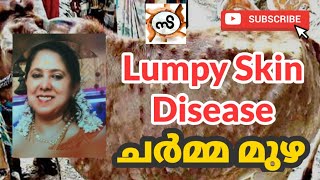 Lumpy Skin Disease| ചർമ്മ മുഴ | Dr. Meera Mohandas