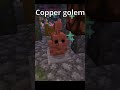 Copper Golem Helping Minecraft #shorts