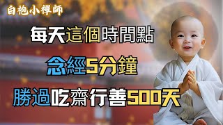 每天這個時間點念經5分鐘，勝過吃素行善500天。#佛教 #佛法 #阿弥陀佛 #南無阿彌陀佛 #菩薩 #佛學 #佛陀 #福報 #阿弥陀佛  #南無阿彌陀佛  #菩薩 #佛學