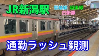 JR新潟駅 通勤ラッシュ 観測  大混雑の朝