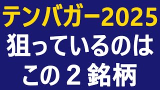 【テンバガー候補銘柄 2025】今狙っている２銘柄を厳選して紹介！