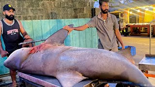 Never seen! Three huge sea fishing and cutting in traditional streat village fish market Sri Lanka