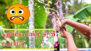 Elephant Toothpaste Experiment in Malayalam (2018)