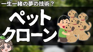 【賛否】亡きペットのクローン化が中国で流行中？お値段1匹◯◯◯万円です