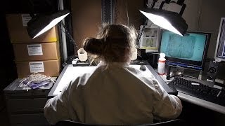 Inside the Terrorist Explosive Device Analytical Center