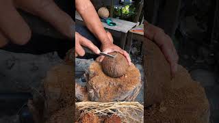 🥥泰國街頭做椰子碗的阿伯coconut bowls handmade process 🇹🇭 #chiangmai #thailand #coconut #coconutbowls